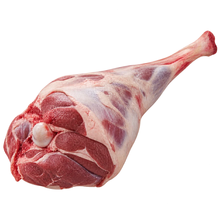 Kuzu But